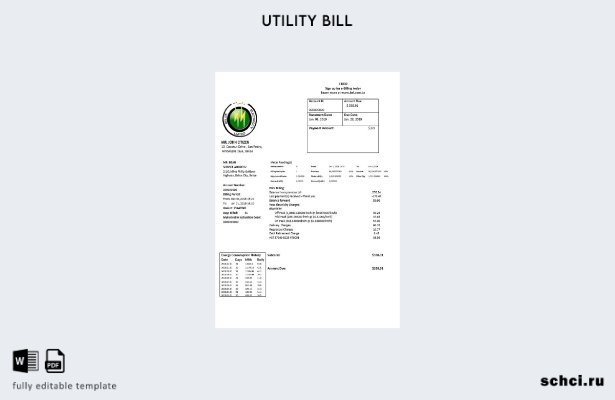 цифровая загрузка шаблон слова счета за электроэнергию Belize Electricity Limite